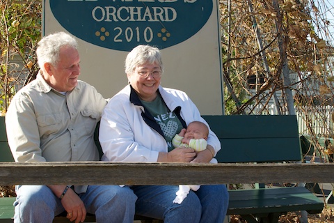 orchard5